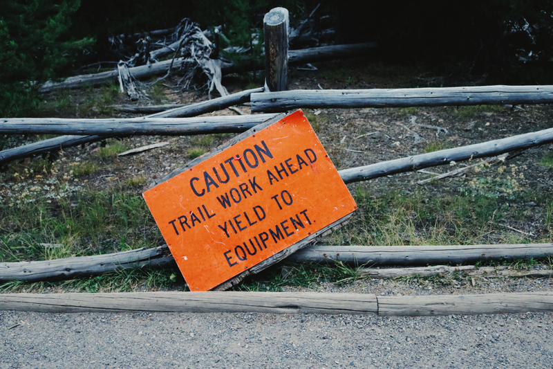Illustration for article titled Photodump: Yellowstone National Park